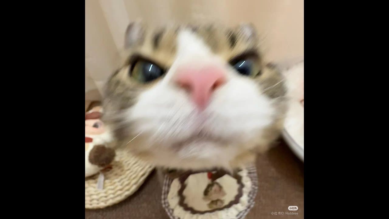 Thumbnail for youtube video